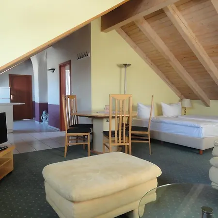 Comfort Frankfurt Airport 3* Francoforte sul Meno