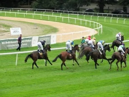 Comfort Frankfurt Airport Hotel