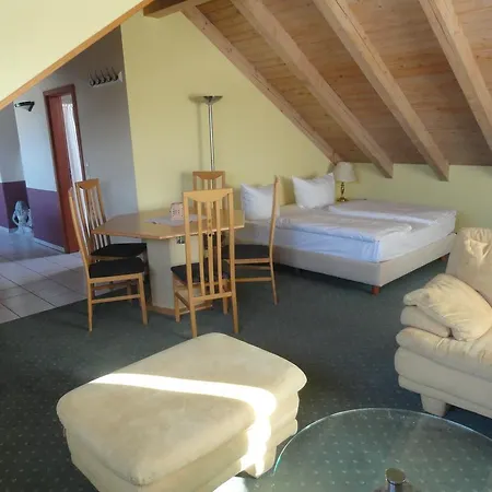 Comfort Frankfurt Airport Hotel 3*