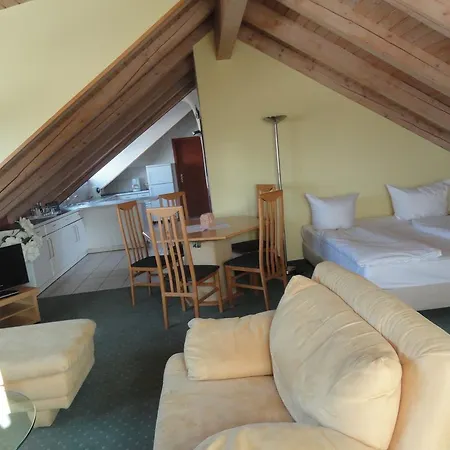 Comfort Frankfurt Airport