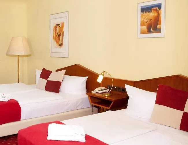 Comfort Frankfurt Airport 3*